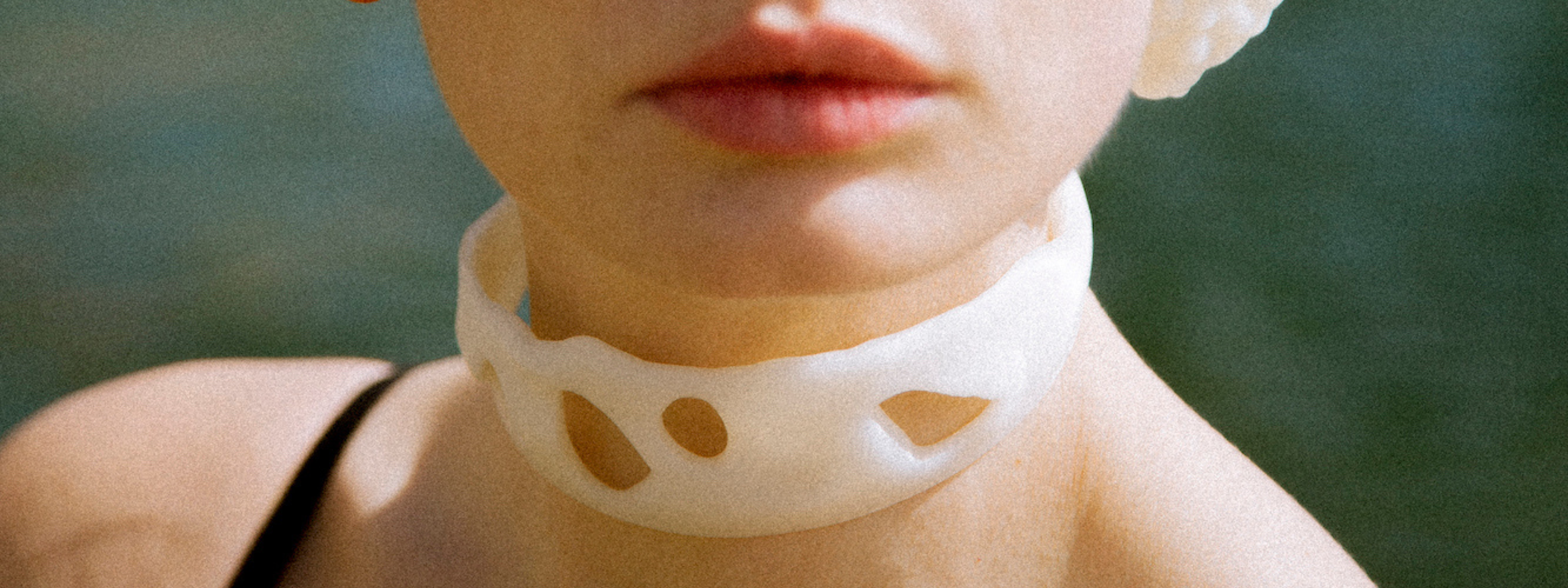 Scallop shell collection